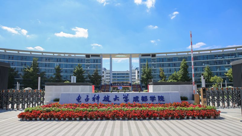 深圳插件来料加工：揭秘其价格构成与选择要点