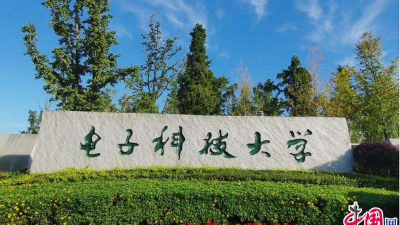 电子加工报价单：揭秘收费标准背后的秘密